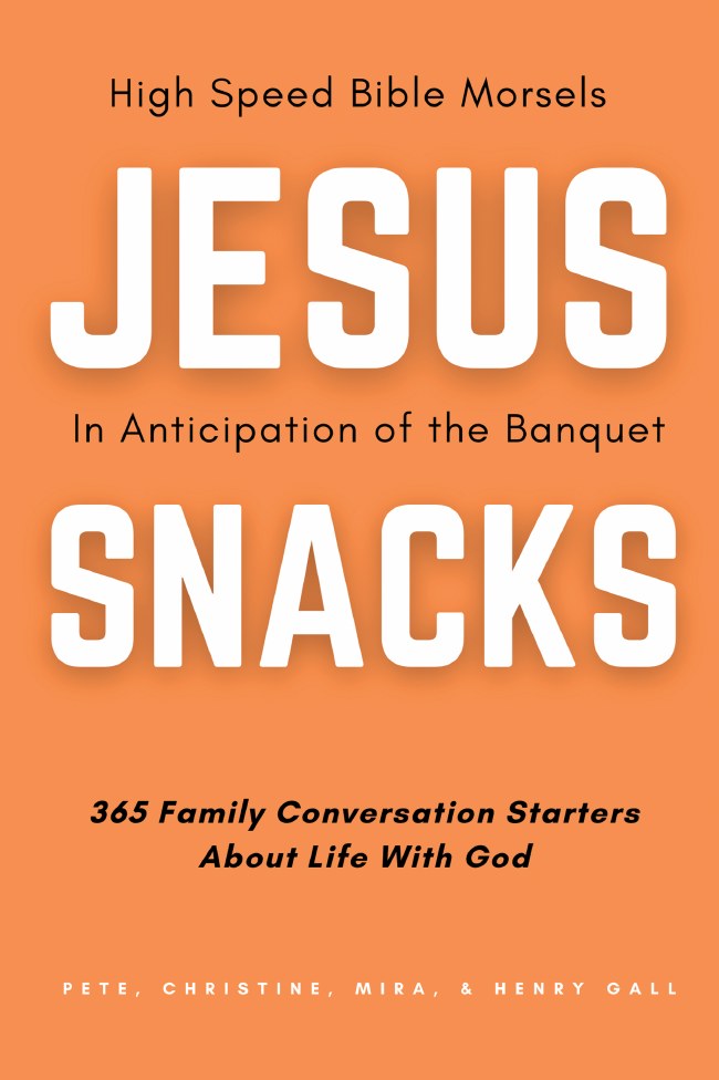 Jesus Snacks paperback